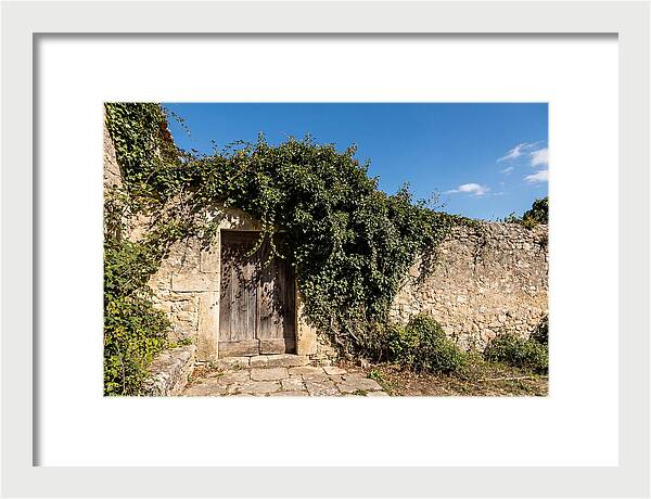 Ivy Covered Doorway In Old Wall