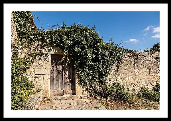 Ivy Covered Doorway In Old Wall