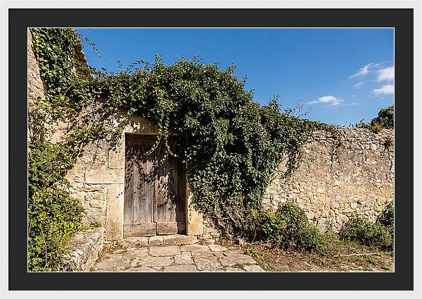 Ivy Covered Doorway In Old Wall
