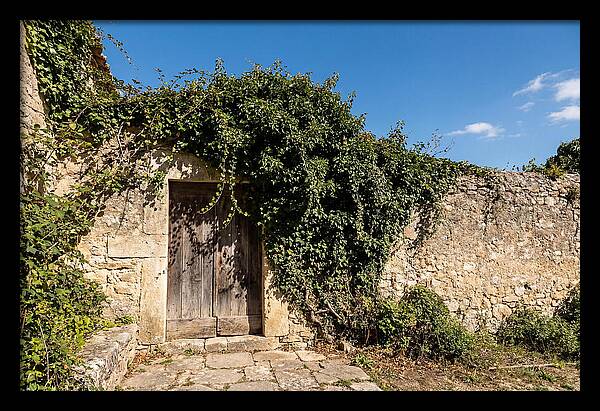 Ivy Covered Doorway In Old Wall
