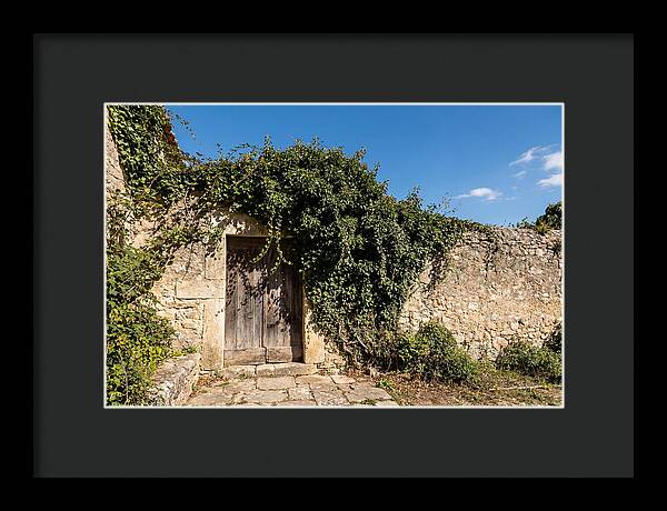 Ivy Covered Doorway In Old Wall