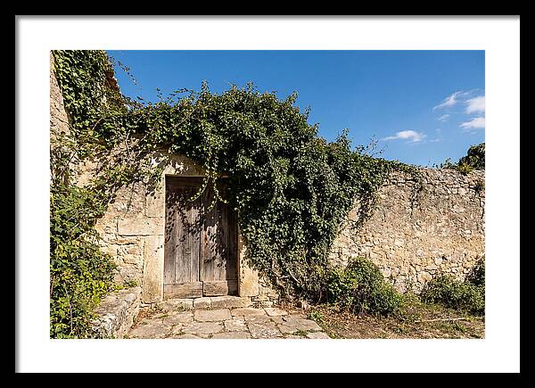 Ivy Covered Doorway In Old Wall