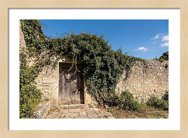 Ivy Covered Doorway In Old Wall