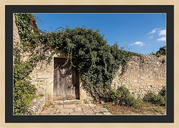 Ivy Covered Doorway In Old Wall