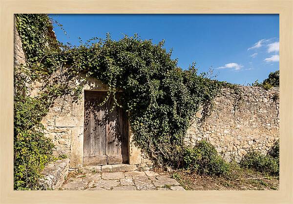 Ivy Covered Doorway In Old Wall
