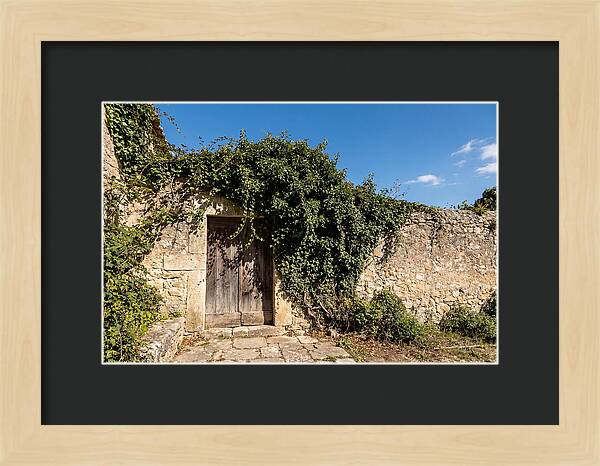 Ivy Covered Doorway In Old Wall