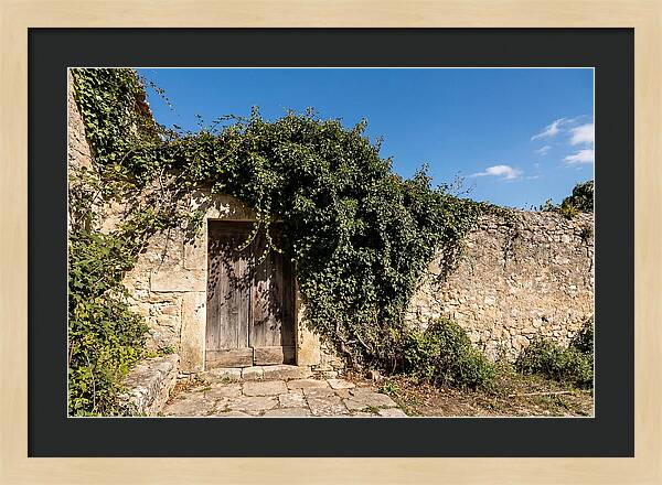Ivy Covered Doorway In Old Wall