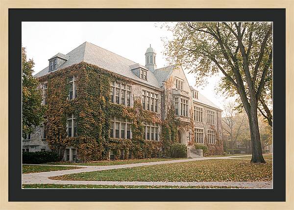 Ivy Covered University Building