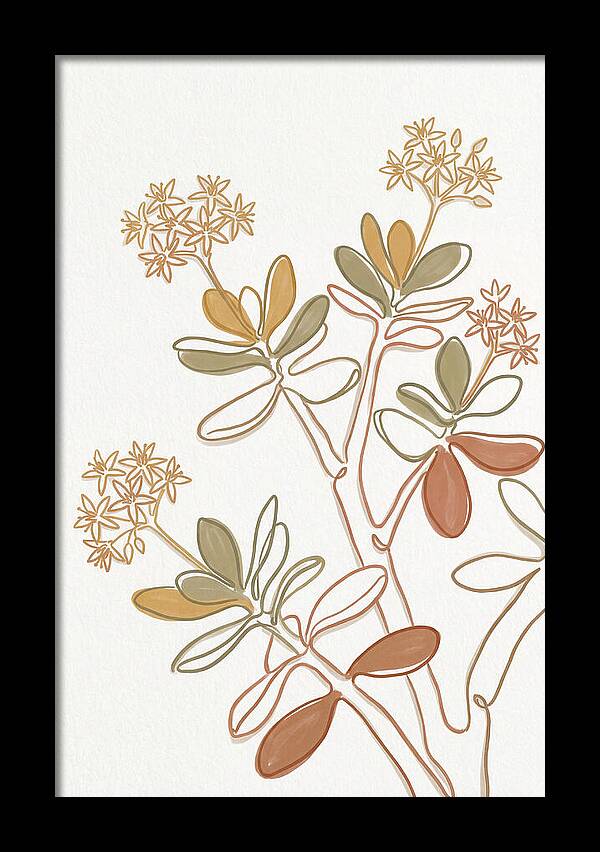 Jade Plant Elegance