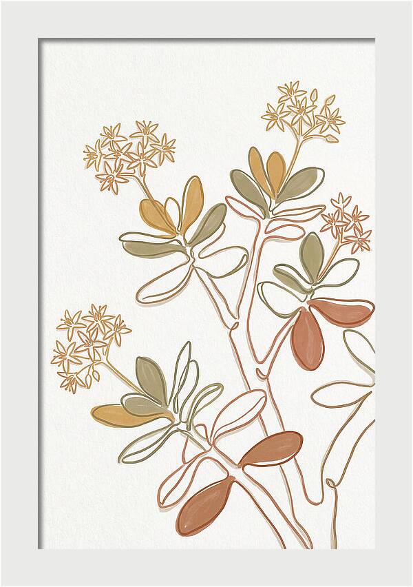 Jade Plant Elegance