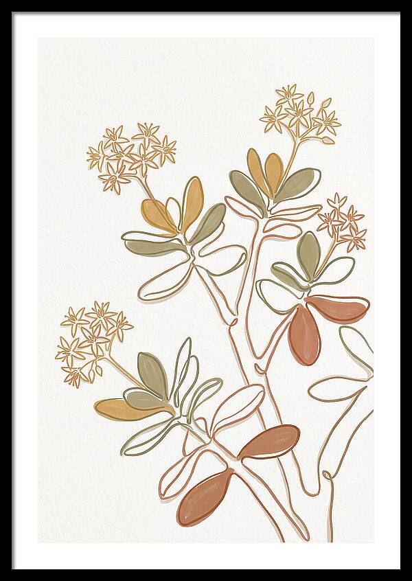 Jade Plant Elegance