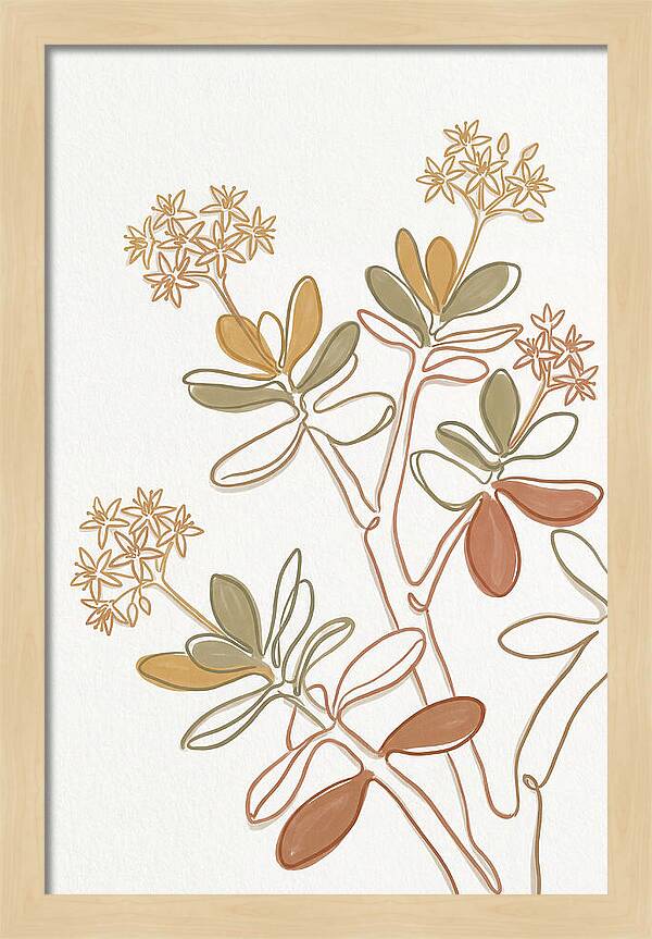 Jade Plant Elegance
