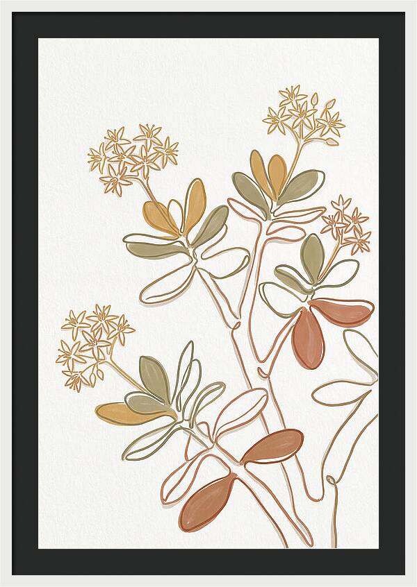 Jade Plant Elegance