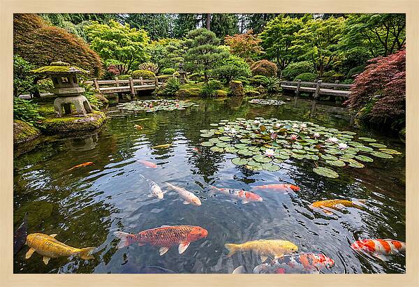 Japanese Koi In Tranquil Pond