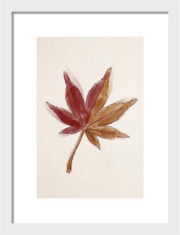 Japanese Maple Leaf In Deep Red