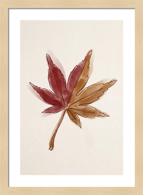 Japanese Maple Leaf In Deep Red