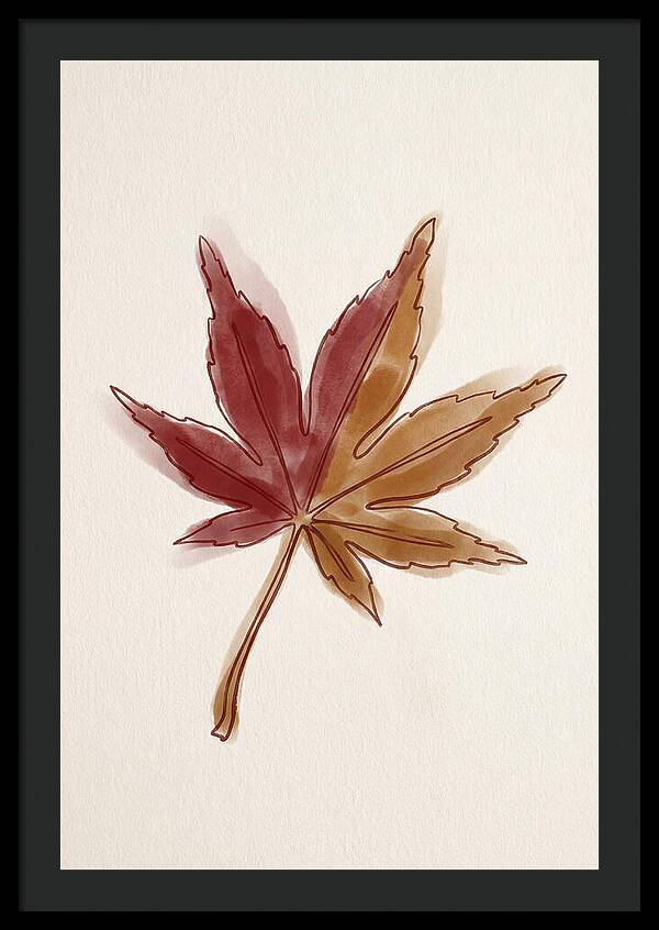 Japanese Maple Leaf In Deep Red