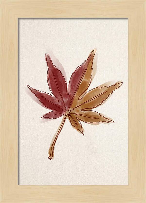 Japanese Maple Leaf In Deep Red
