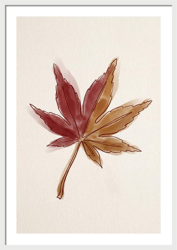 Japanese Maple Leaf In Deep Red