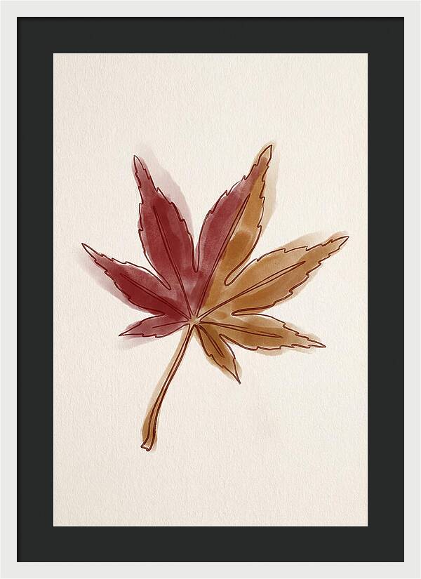 Japanese Maple Leaf In Deep Red