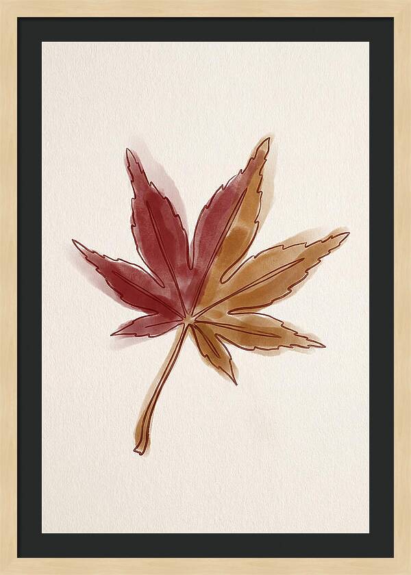 Japanese Maple Leaf In Deep Red