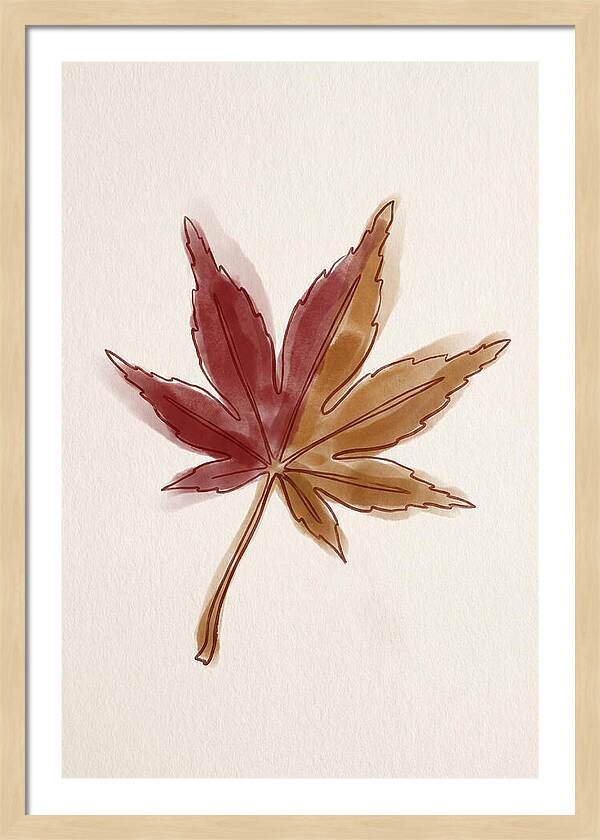 Japanese Maple Leaf In Deep Red