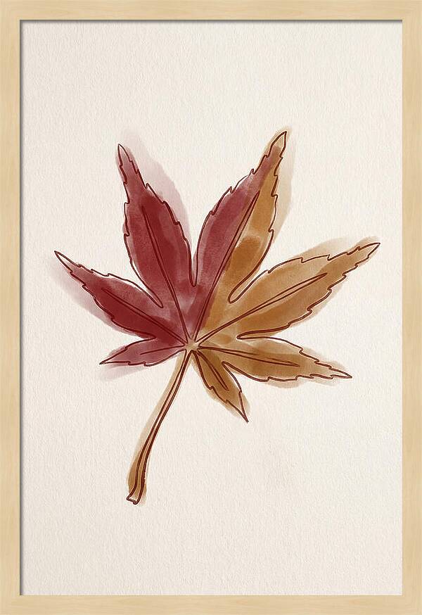 Japanese Maple Leaf In Deep Red