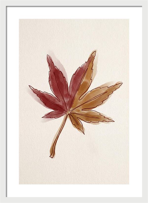 Japanese Maple Leaf In Deep Red