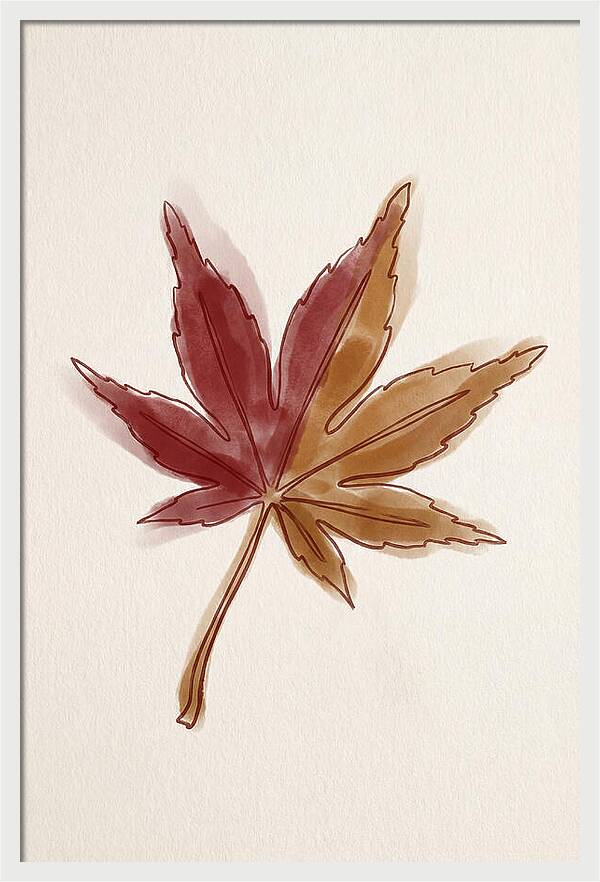 Japanese Maple Leaf In Deep Red