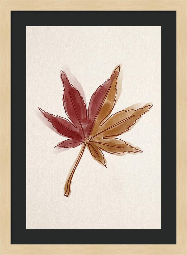 Japanese Maple Leaf In Deep Red
