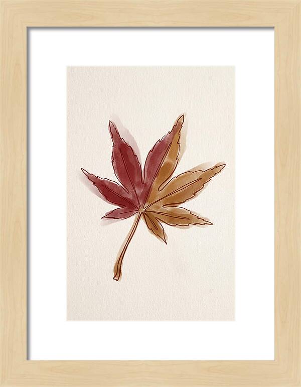Japanese Maple Leaf In Deep Red