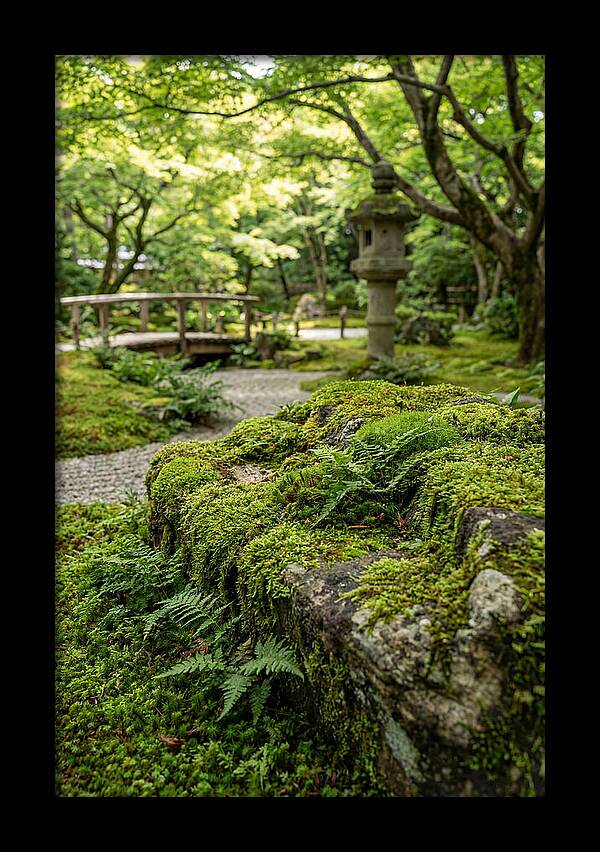Japanese Zen Garden Serenity