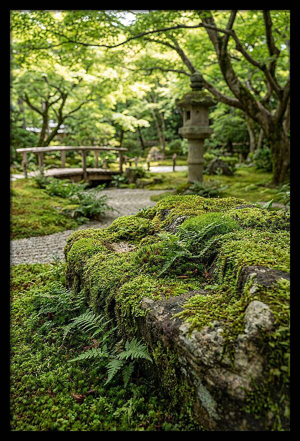 Japanese Zen Garden Serenity