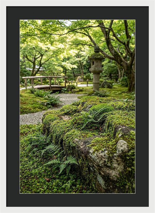 Japanese Zen Garden Serenity