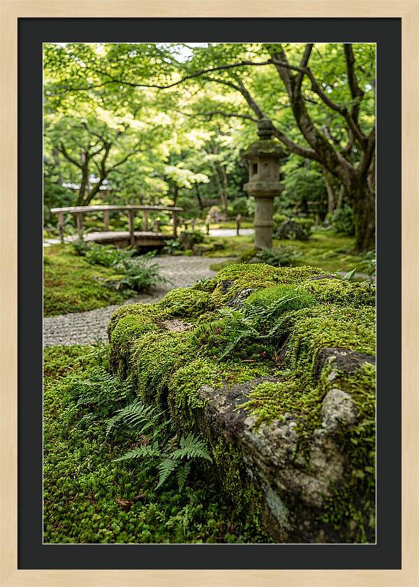 Japanese Zen Garden Serenity