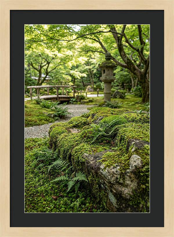 Japanese Zen Garden Serenity