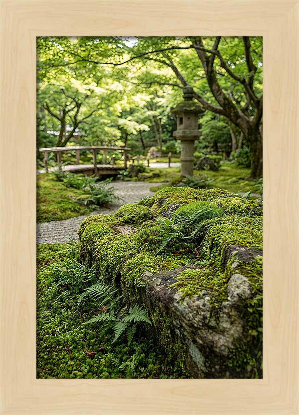 Japanese Zen Garden Serenity