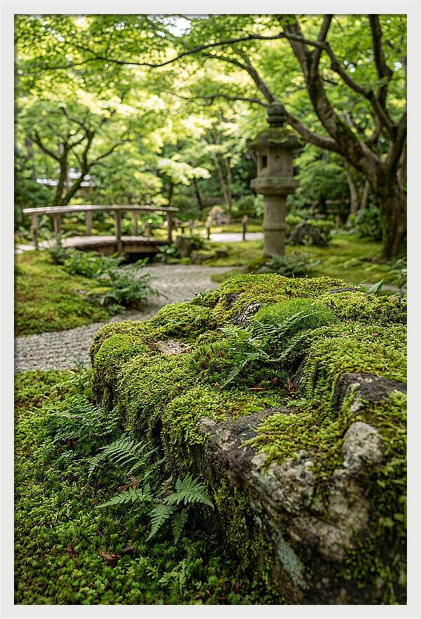 Japanese Zen Garden Serenity