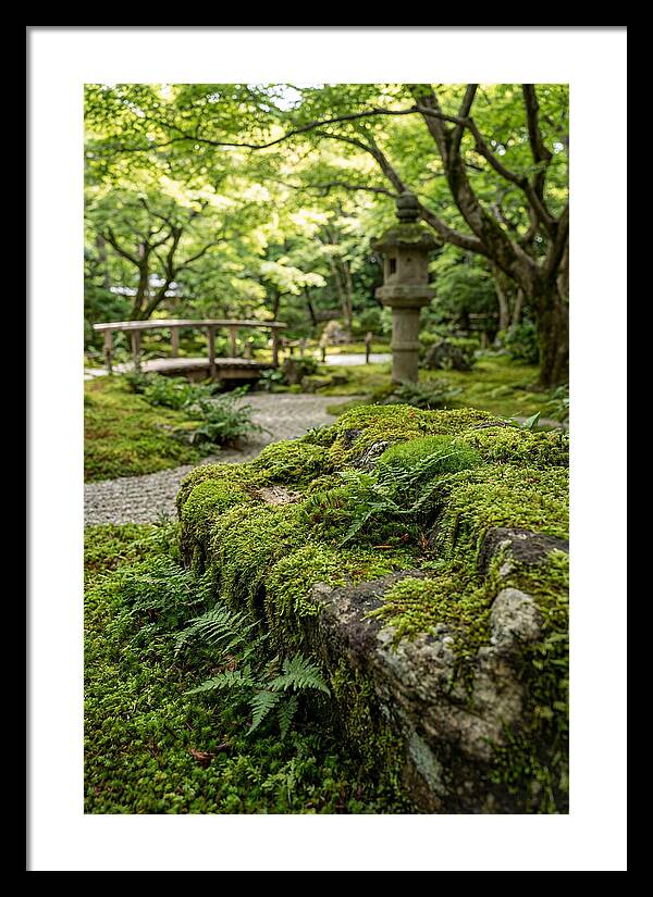 Japanese Zen Garden Serenity