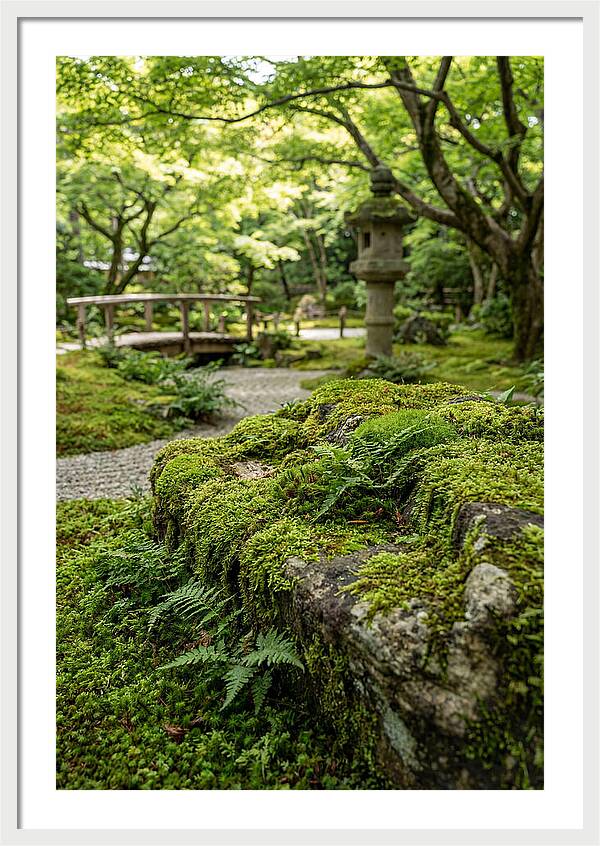 Japanese Zen Garden Serenity