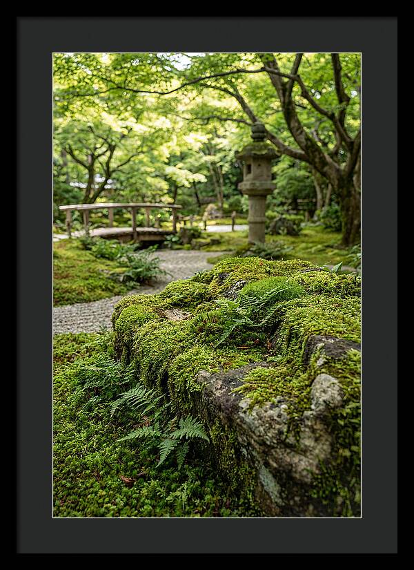Japanese Zen Garden Serenity