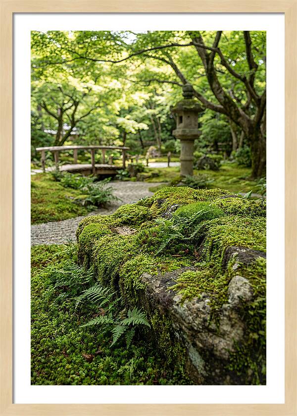 Japanese Zen Garden Serenity