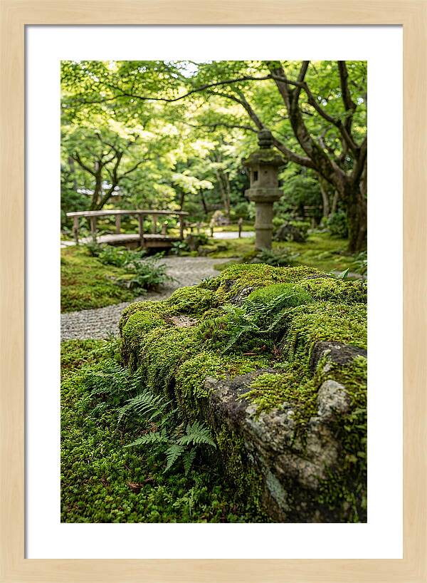 Japanese Zen Garden Serenity