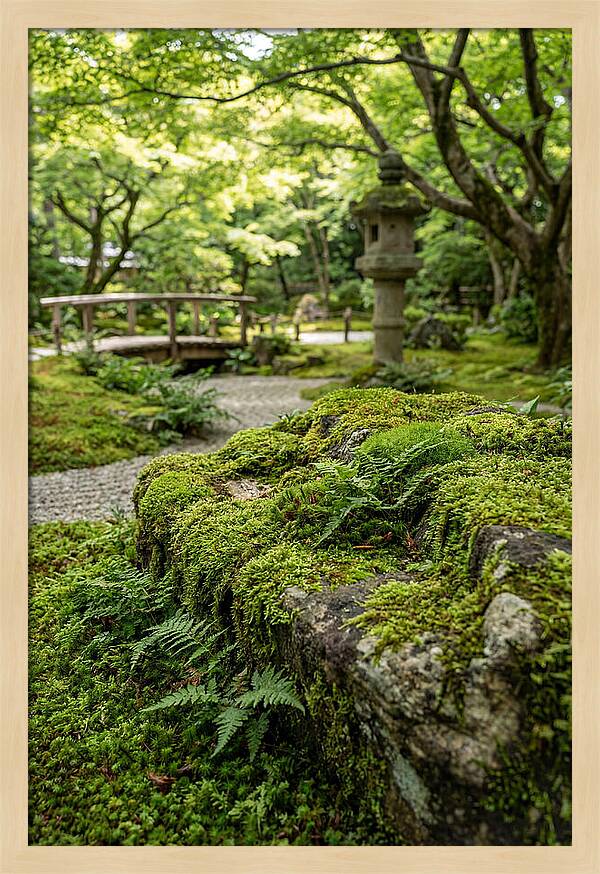Japanese Zen Garden Serenity