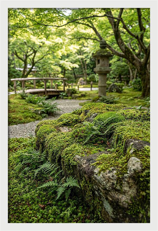 Japanese Zen Garden Serenity