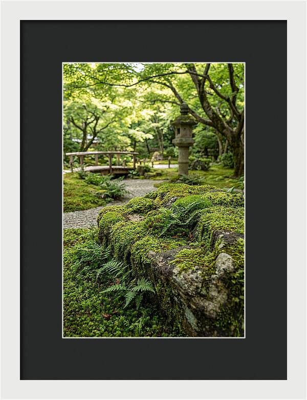 Japanese Zen Garden Serenity
