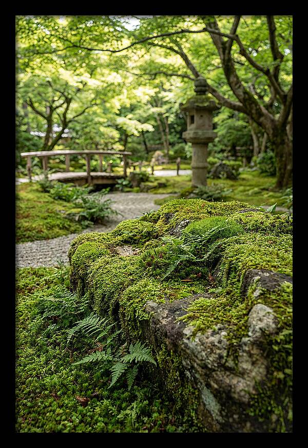 Japanese Zen Garden Serenity