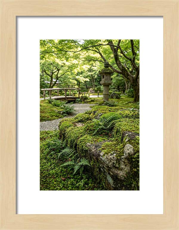 Japanese Zen Garden Serenity