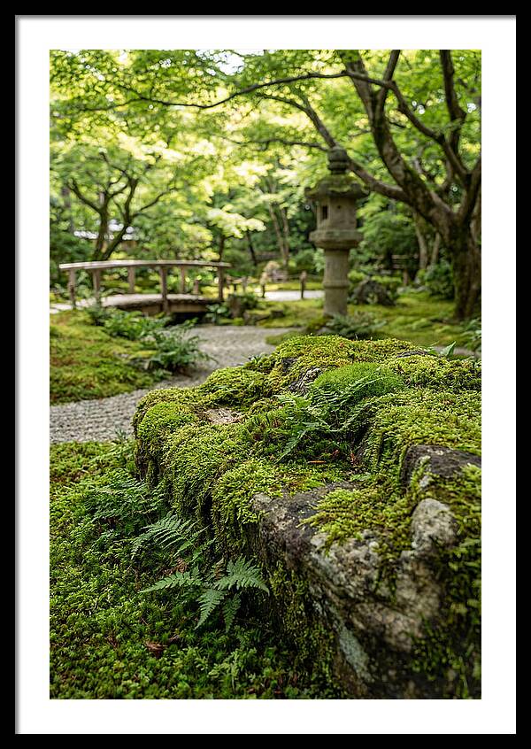 Japanese Zen Garden Serenity
