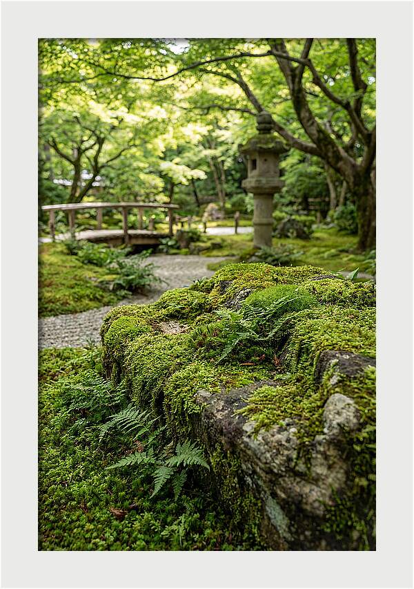 Japanese Zen Garden Serenity